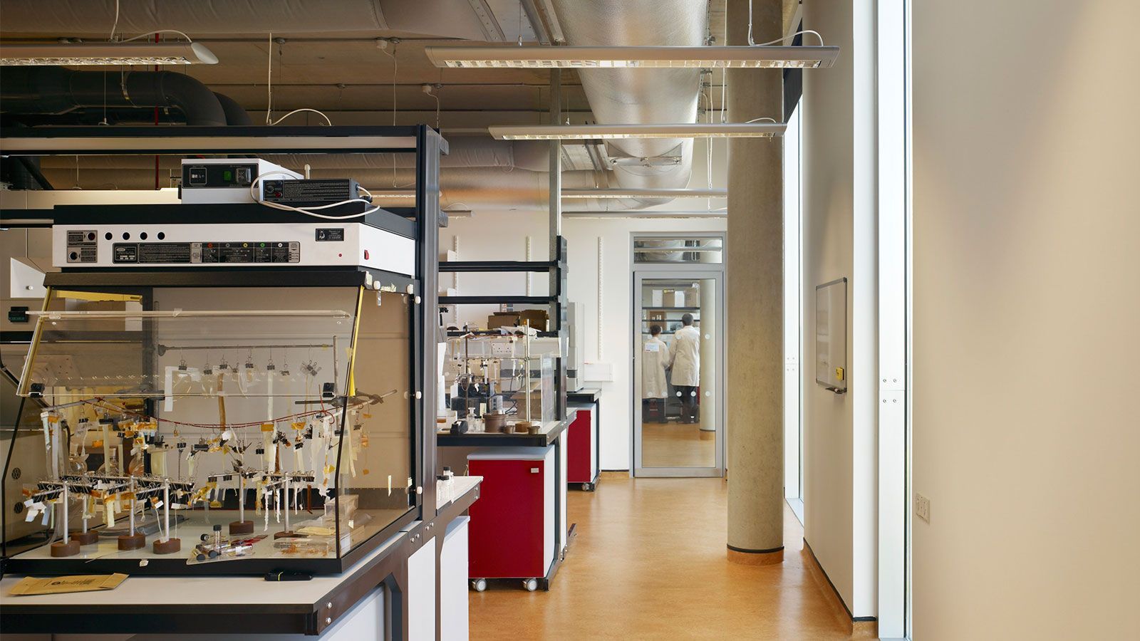 University of Cambridge, Physics of Medicine